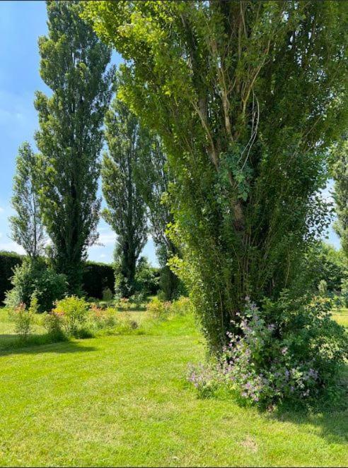 Domaine Des Epinettes Hotel Saint-Romain-de-Jalionas Kültér fotó
